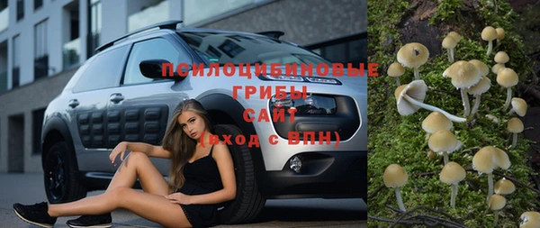 прущие крисы Алексин