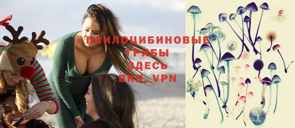 прущие крисы Алексин
