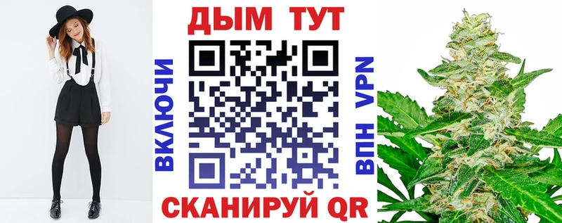 где купить наркоту  Майкоп  hydra зеркало  Шишки марихуана семена 